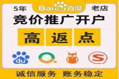 竞价广告案例分析：行业领军企业经验分享